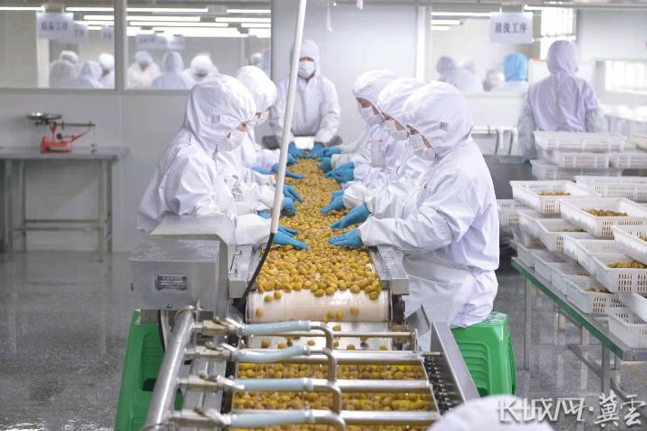 1640913393831374.png image.png